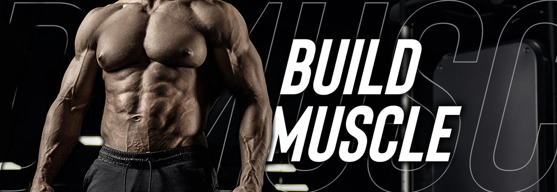 Build Muscle - Ultimate Sport Nutrition