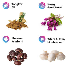 Project AD Elite Series Tauro Test