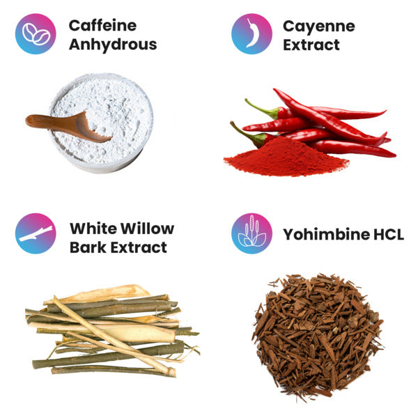 Project AD Shredabull